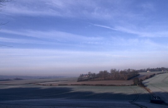 Dawley Wood in Winter